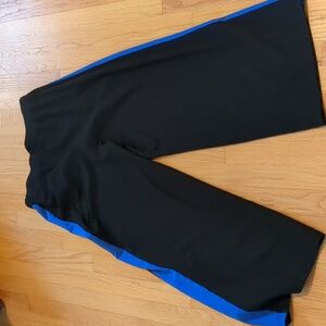 Banana Republic Factory Black Pants with Blue Accents